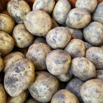 포슬포슬 햇감자 제주 햇 감자 수미감자, 감자(상) 찜용 1박스, 3kg