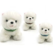 애완동물구분목걸이12P 고양이인식표 강아지네임택