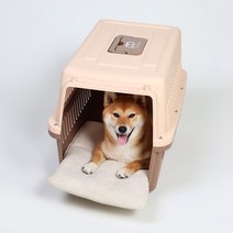 조브라운 강아지 고양이 케이지 켄넬 이동장 쿠션 방석 매트, 아쿠아, 그린