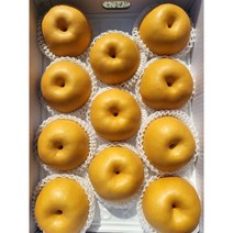 [과일맛집] 아삭달콤 순천 낙안배 보성배 신고배 가정용 선물용 7.5kg 15kg, 배 15kg (17-20과) 1박스