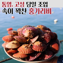 통영 고성 세척 홍가리비 가리비 당일조업 직송, 홍가리비 4kg (100-120미)