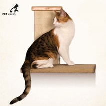 파이오니아 스카이 클라이머 애완용품 스크래쳐