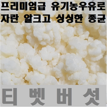 티벳버섯 케피어그레인, 이십씨씨20cc, 1개