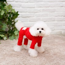 [펫디자인] 싱글스판올인원 8colors 강아지옷추천 강아지올인원, 레드