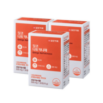 징코 나토키나제 500mg x 30정 x 3박