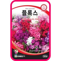 주주씨앗 플록스 300립 꽃잔디씨앗 종자 꽃밭 혼합종 꽃씨 모음 꽃씨몰 씨앗 종자 일년생 노지월동 한해살이