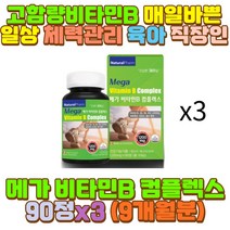 수용성 비타민 비 B6 B12 B 컴플렉스 50대 직장인 딸 장 시간 거리 화물차 버스 택배 택시 운전 기사 숙취 과음 음주 술자리 회식 새벽 밤샘 야간 알바 공부 작업 근무 야근 과로 피곤 피로 중장년 어르신 노인