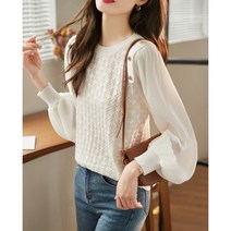 여성 블라우스 그물 원사 레이스 쉬폰 셔츠 여자 스프링 드레스 2023 새로운 느슨한 다목적 탑 레이디베이스 셔츠