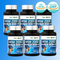 MSM 2000 트리플 케어 6개월분 MSM 뼈 관절 건강 식이유황 엠에스엠, 단품, 단품, 단품