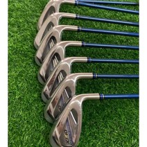 남자 mp1100 아이언 8개 세트 남성 xxio 아이언 골프 골프채 골프클럽, 다이나믹 골드 R300