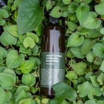 유안재 어성초 탈모샴푸 약산성 저자극 두피케어샴푸 500mL, 1개