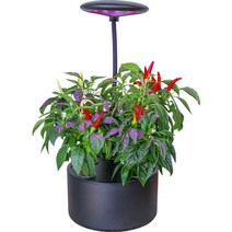 식물재배기 가정용 스마트팜, Z304 수경 블랙 화분(가정용)