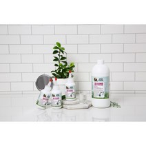 협성로하스 이어크리너 (Ear Cleaner) 세정 가려움 냄새 제거 치료효과 118ml