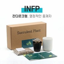 MBTI 다육이 키우기 키트 INFP, 다육이 선택:프리린제