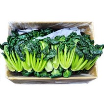 비타민채소 1kg