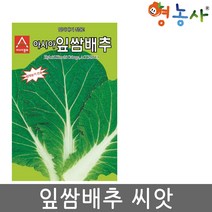 잎쌈배추 씨앗 500립 잎따내기 쌈배추 종자, 1개