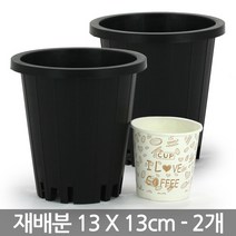 원형 플라스틱 재배분 17 X 19cm - 화분 플분 녹차 양란 난화분 란화분 난재배분 양란화분 난재배 녹차재배분 긴화분, 01_청운_재배분(4호) X 2개