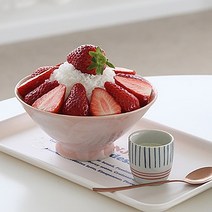 로즈니 빙수 그릇 21종 팔빙수 화채 빙수볼 용기 아이스크림볼, 3빨간꽃빙수볼
