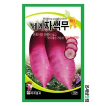 세계자색무 100립 / 무씨앗 무우씨 김장무 자색무, 1개