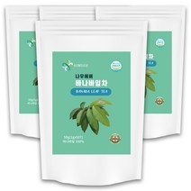 나우에버 바나바잎 PLA 생분해 티백차, 4팩, 4개