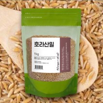 2022년산 카무트라고하는 호라산밀 1고대곡물 쌀 효능, 1팩(1kg)