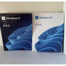 한국어 윈도우10 윈도우11 pro 컴퓨터 oem 설치 CD 영문판 라이센스 동봉, Win10 한국어 32/64비트 U 디스크 색상