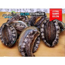 (당일발송 친환경포장)완도전복생산자협동조합 대전복 1kg(10~11미), 고급횟감용 1kg(11-12미)