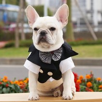 양복 신랑 결혼식 사례 옷 애완동물 강아지 고양이 테디비 곰보미 법두 소형견 용품, 체크 넥타이 블랙 슈트