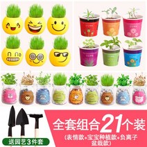 반려식물 식물인형 관찰실험 식물 잔디인형 만들기 교구, T09