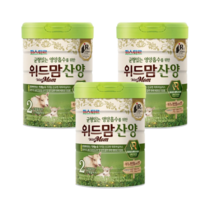 파스퇴르 위드맘 산양 2단계 750g x3개