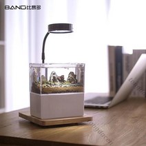 베타키우기 엔젤피쉬 나비파파 블랙고스트 하프문 키우기 오란다금붕어 구피 해수어항세트 해수 4929998849, D 옵션이미지 참조
