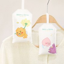 옷걸이에 걸어쓰는 인체무해원료 다회용 습기제습제 / 겨울옷 원룸 장농, 리틀라이언
