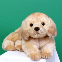 위더펫 강아지 고양이 호랑이 애착 동물 캐릭터 인형, 01.위더펫-골든리트리버(라잉)