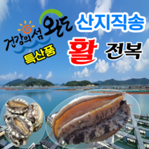 완도전복 직거래 택배 1kg 2kg 3kg 7미-20미(고급 부직포+손질솔 무료증정), 1kg 6~7미 선물용 (특특대)