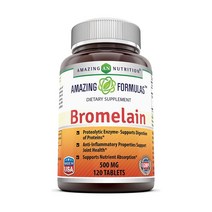 Amazing Nutrition 어메이징 Bromelain 브로멜라인 파인 파인애플 효소 500mg 120정, 1팩
