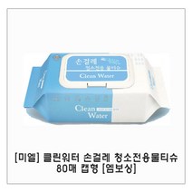 클린워터손걸레물티슈(캡) x 10개 _ 230116EA, 본상품선택