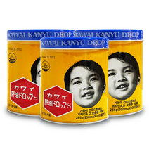 간유구/가와이간유드롭S 3캔 / 눈 뼈 영양공급/, 3개, [가와이제약]가와이간유드롭S