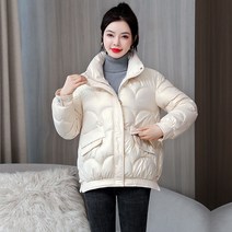 스탠드 칼라 쇼트 다운 점퍼 겨울 여성 단색 슬림핏 패딩