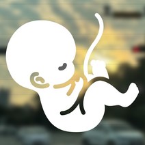 [잘보이는 심플한 임산부 태아 스티커] 초보운전 전운보초 아이가 타고있어요 주행연습 반사, 임산부 태아 캐릭터