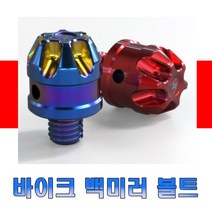 오토바이 백미러볼트 10mm 정방향 역방향 연장 볼트킷 CNC 미러캡 마감 스크류 오토바이 튜닝용품 스피리비스트, 레드(10mm정)
