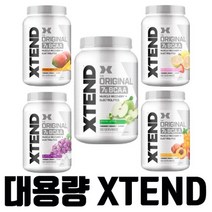 Scivation 싸이베이션 엑스텐드 오리지널 BCAA 90 서빙 1.3 kg 보충제, 1.3kg, 1개