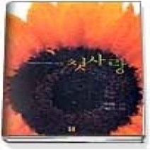 [개똥이네][중고-상] 첫사랑 - Novelle D'image Vol. 3