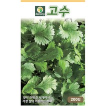 곤드레 100립 - 씨 씨앗 곤드레씨앗 곤드레씨 나물씨 나물씨앗 민속채소 채소씨 채소씨앗 고려엉겅퀴, 01_다농_고수(200립)