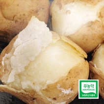 농협 무농약 감자 3kg/특/개당120-150g내, 없음