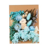 Royalways 1 세트 혼합 된 진짜 말린 꽃 마른 잎 diy 스크랩북 공예 카드 만들기 공예 책갈피 웨딩 전화 커버 쥬얼리, 5-12CM, 파란색