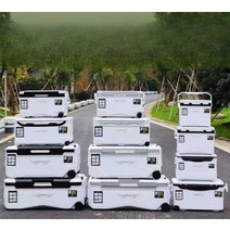 낚시아이스박스 쿨러 낚시용 레저용 점프박스, 10L 정제(스트랩)