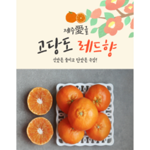 제주 레드향 2.5kg 4.5kg 선물용 가정용, 레드향(소), 1개