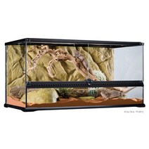 EXOTERRA 엑소테라 테라리움 사육장 904545, 매장 방문