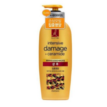 엘라스틴 모로칸 아르간오일 집중영양 샴푸, 600ml, 2개