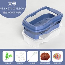 육지 소라게 거북이 키우기 도둑게 사육장, 【귀족청】큰 나항아리개